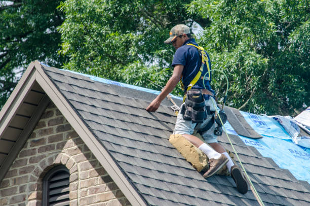 Roof Gutter Cleaning in Muleshoe, TX